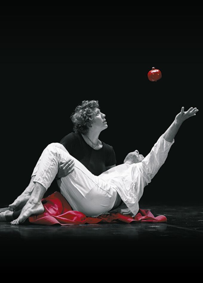 Тёмные аллеи